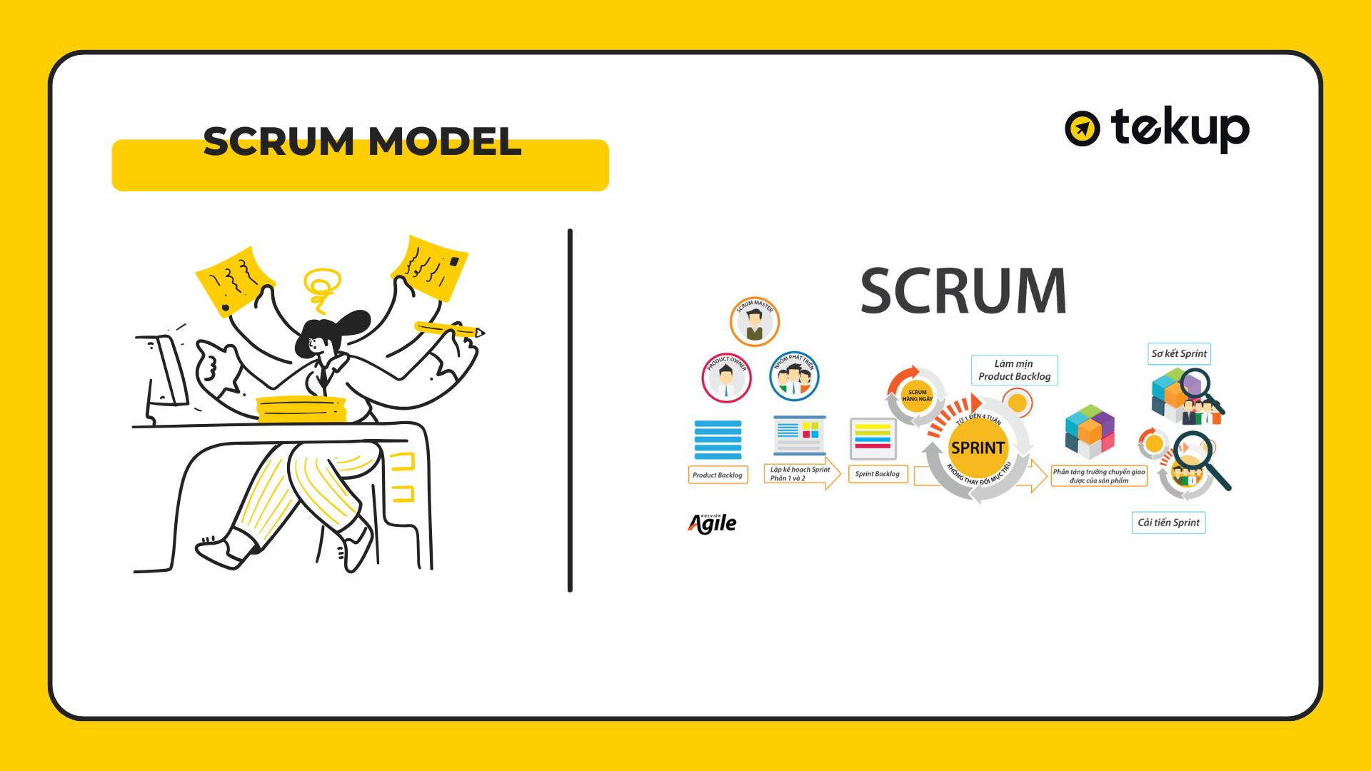 Scrum model in software development.