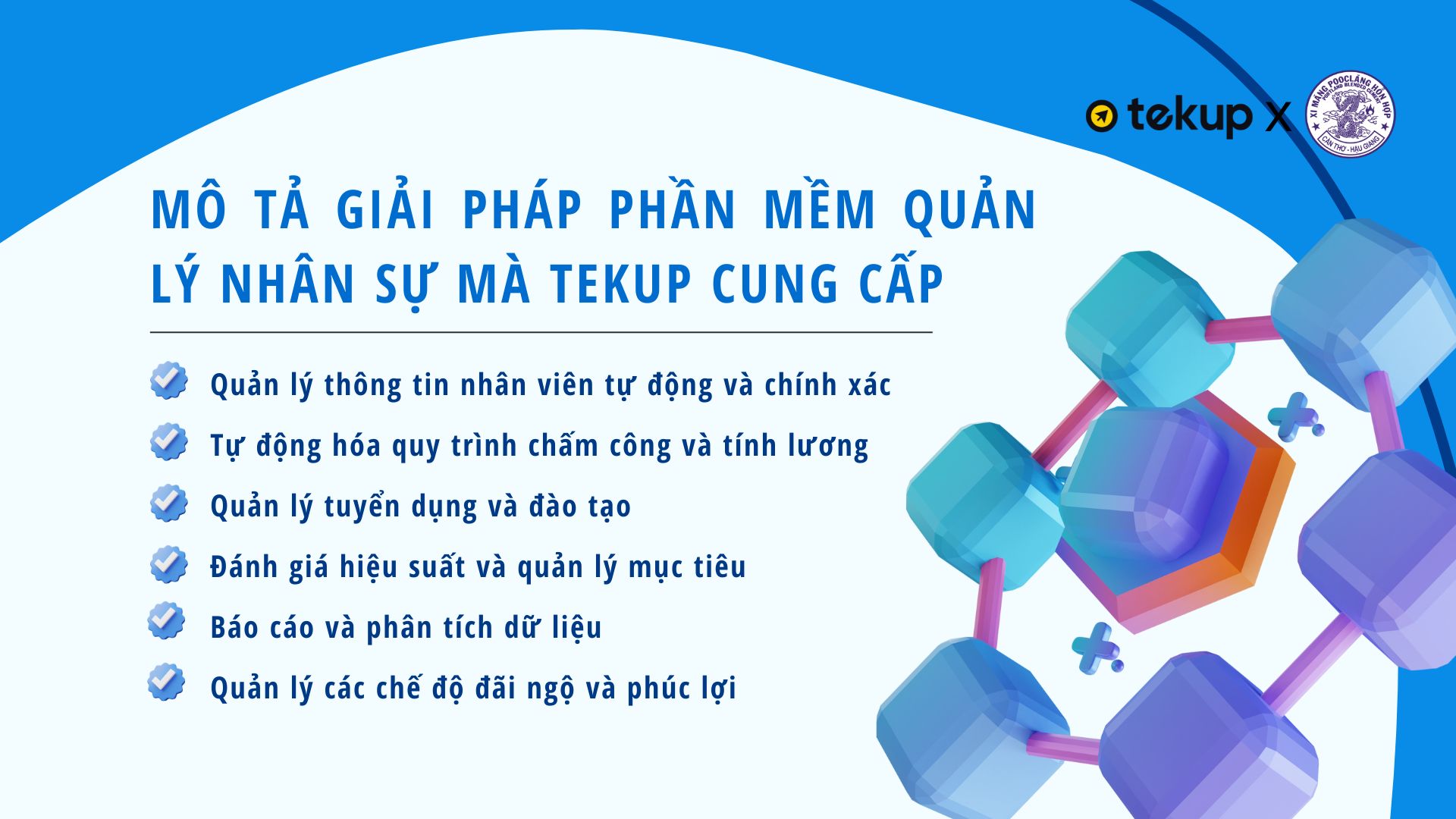 Mô tả giải pháp phần mềm quản lý nhân sự mà Tekup cung cấp